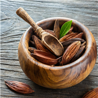Sandalwood - EO & FO Blend 104